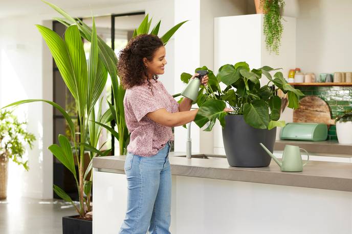 brussels watering can 1,8ltr sorbet green